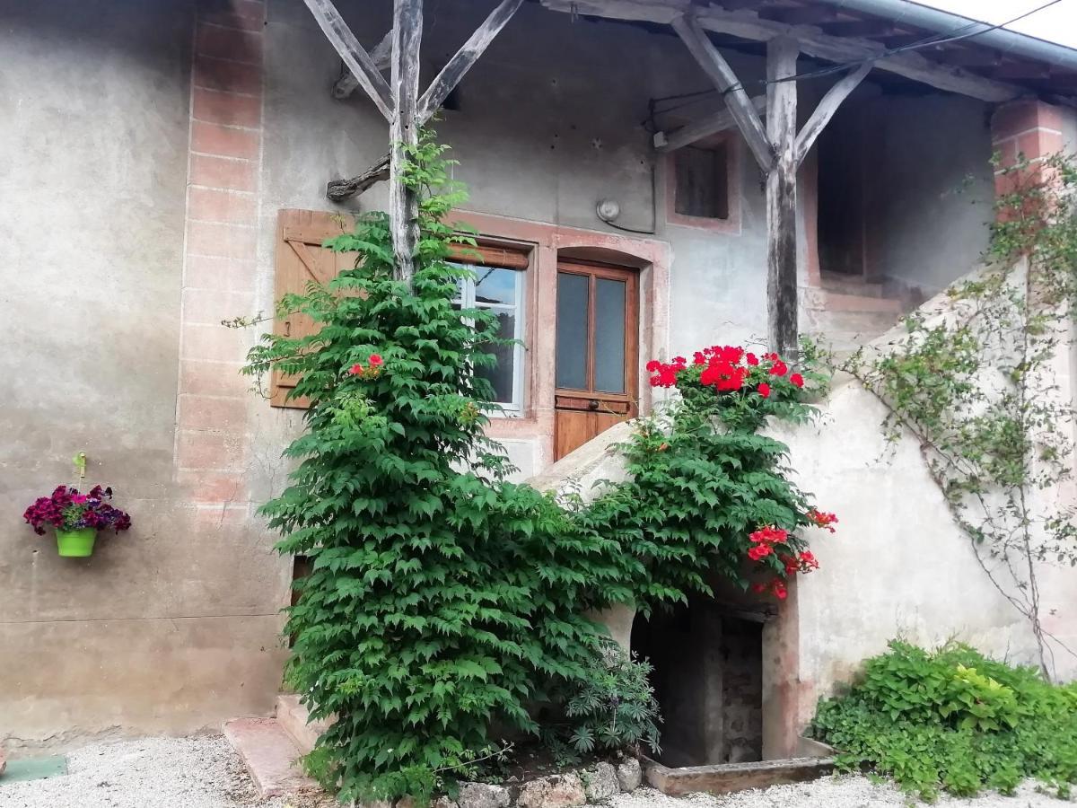 La Maison Moja Prety Экстерьер фото